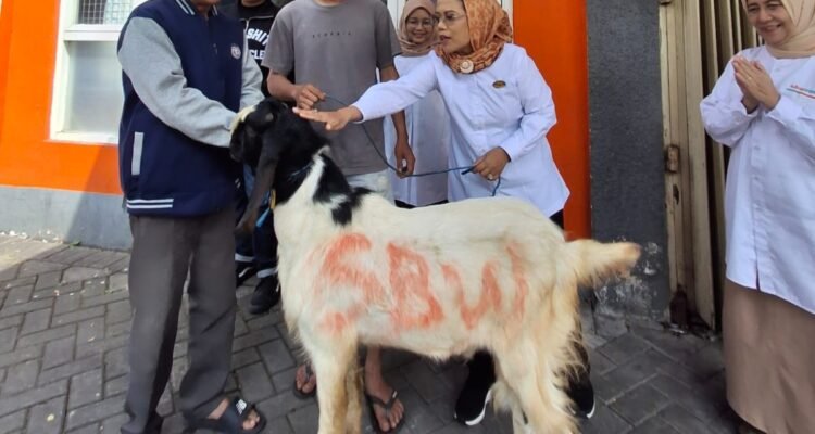 Gotong Royong Jadi Kekuatan, Kopwan SBW Tebar Kepedulian lewat 13 Hewan Qurban
