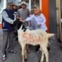 Gotong Royong Jadi Kekuatan, Kopwan SBW Tebar Kepedulian lewat 13 Hewan Qurban