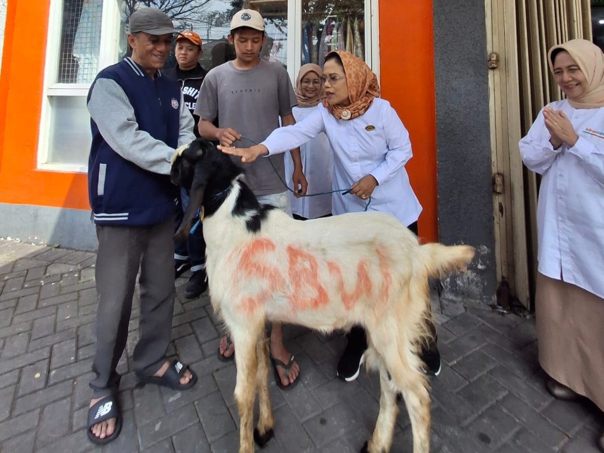Gotong Royong Jadi Kekuatan, Kopwan SBW Tebar Kepedulian lewat 13 Hewan Qurban