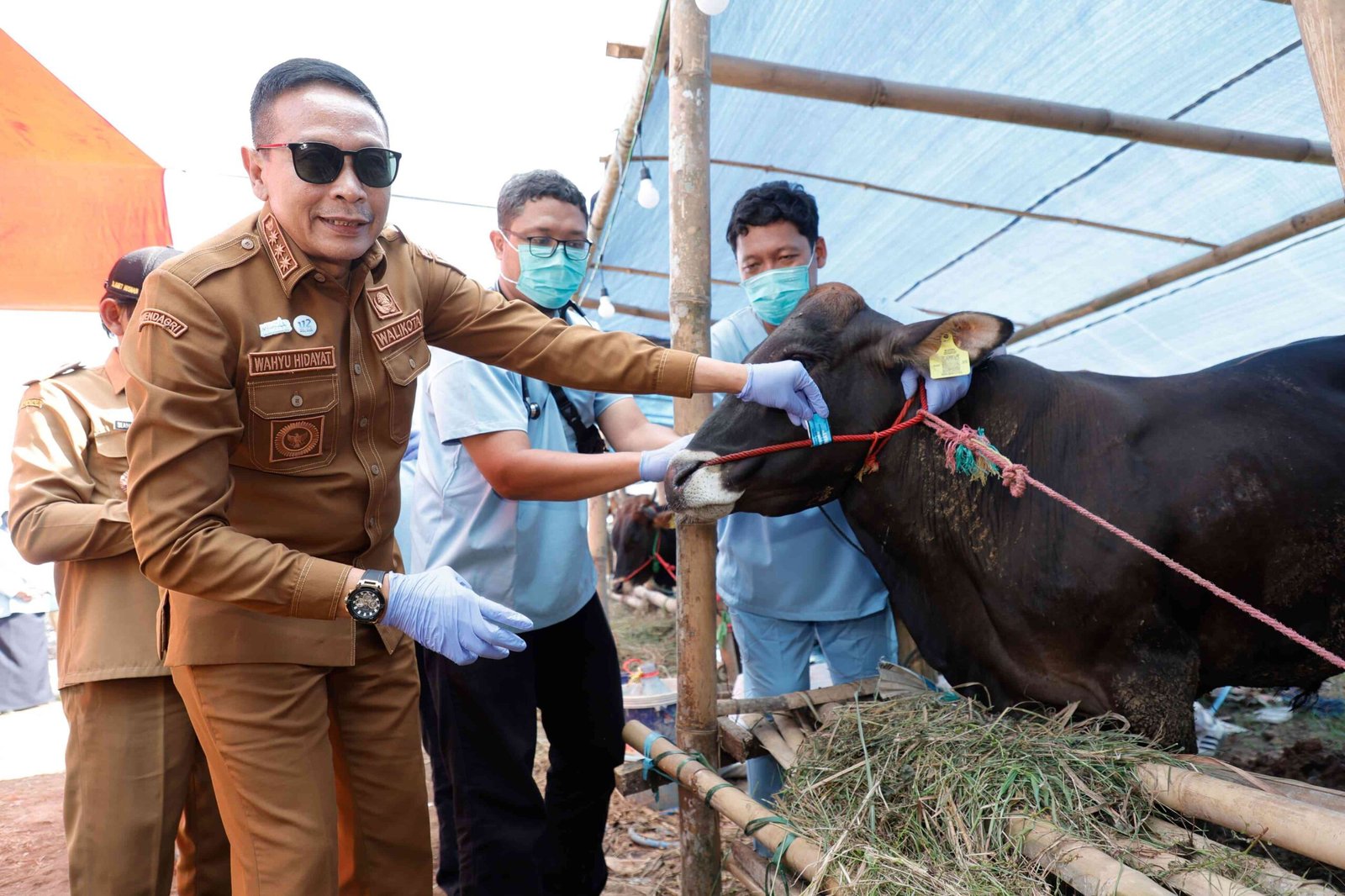 Jelang Idul Adha, Wali Kota Wahyu Sidak Kandang Pastikan Hewan Kurban Sehat Memenuhi Syarat