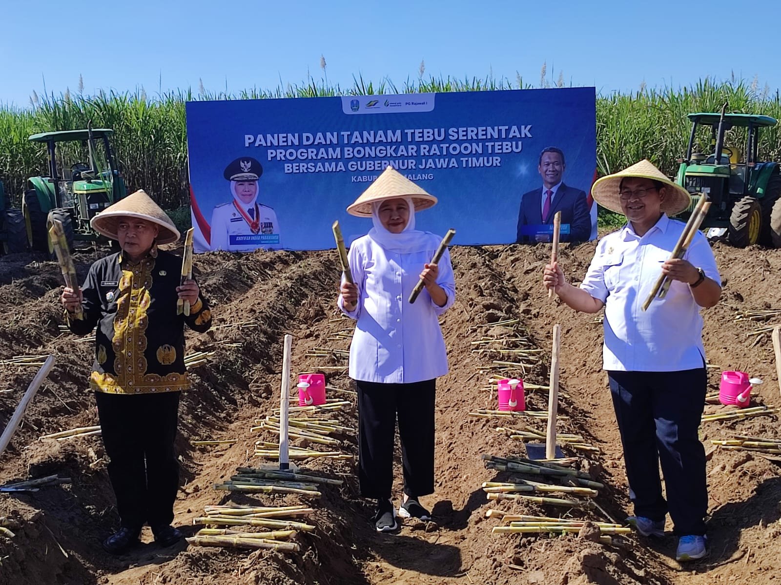 Bongkar Ratoon Jadi Senjata Baru Jatim, Khofifah Bidik Swasembada Gula dari Malang