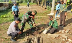 Koramil Kedungkandang Bersama DLH Wujudkan RTH Asri Lewat Penanaman 100 Pohon Tabebuya