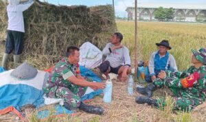 Babinsa Koramil Kedungkandang Jalin Komunikasi Humanis dengan Petani di Wilayah Binaan