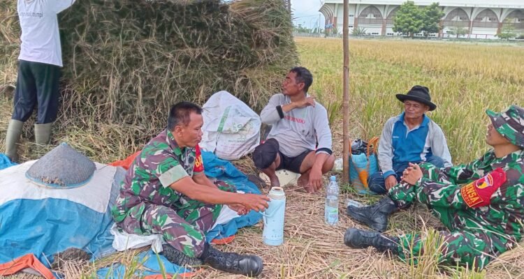 Babinsa Koramil Kedungkandang Jalin Komunikasi Humanis dengan Petani di Wilayah Binaan