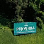Dari Hutan yang Pulih, Mata Air Kembali Mengalir: Kiprah UMM Menjaga Kedaulatan Air di Pujon Hill