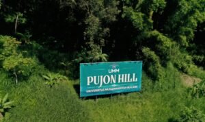 Pujon. Hill Dari Hutan yang Pulih, Mata Air Kembali Mengalir: Kiprah UMM Menjaga Kedaulatan Air di Pujon Hill