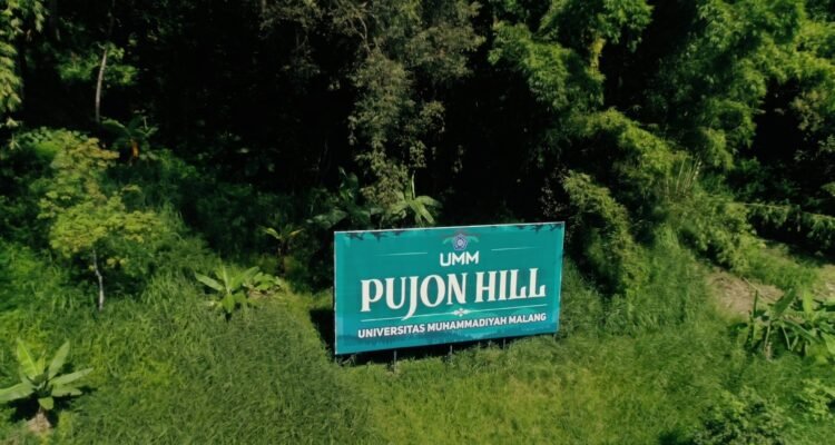Dari Hutan yang Pulih, Mata Air Kembali Mengalir: Kiprah UMM Menjaga Kedaulatan Air di Pujon Hill