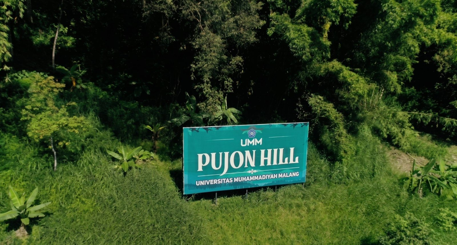 Dari Hutan yang Pulih, Mata Air Kembali Mengalir: Kiprah UMM Menjaga Kedaulatan Air di Pujon Hill