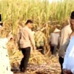IMG-20260718-WA0026 Presiden Prabowo Serap Aspirasi Petani Tebu di Malang, Harapan Baru bagi Masa Depan Pertanian Nasional