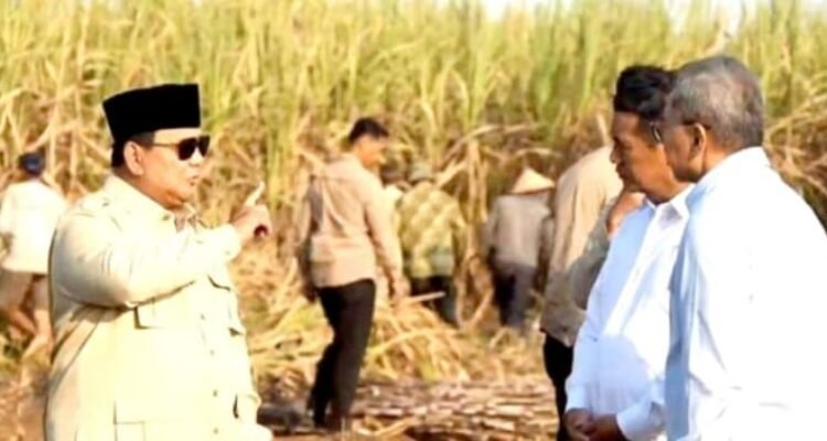 IMG-20260718-WA0026 Presiden Prabowo Serap Aspirasi Petani Tebu di Malang, Harapan Baru bagi Masa Depan Pertanian Nasional