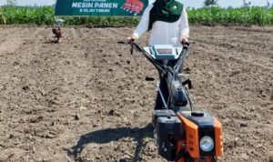 IMG-20260719-WA0086 Panen Raya Jadi Momentum Perkuat Ketahanan Pangan, Senator Lia Istifhama: Kesejahteraan Petani Harus Menjadi Prioritas