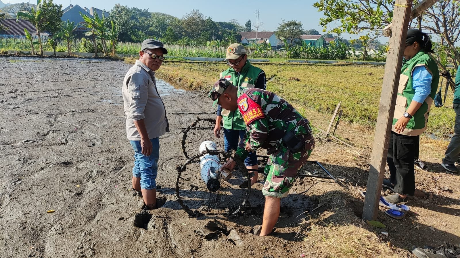 Optimalisasi Hasil Panen, Babinsa Kedungkandang Dampingi Penanaman Padi Metode PM-AAS di Kelurahan Buring