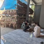 Babinsa Tunggulwulung Aktif Pantau Budidaya Bawang Milik Warga Dukung Ketahanan Pangan