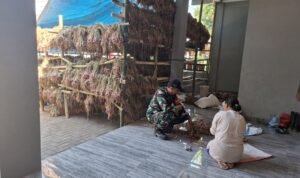 IMG-20260727-WA0091 Babinsa Tunggulwulung Aktif Pantau Budidaya Bawang Milik Warga Dukung Ketahanan Pangan