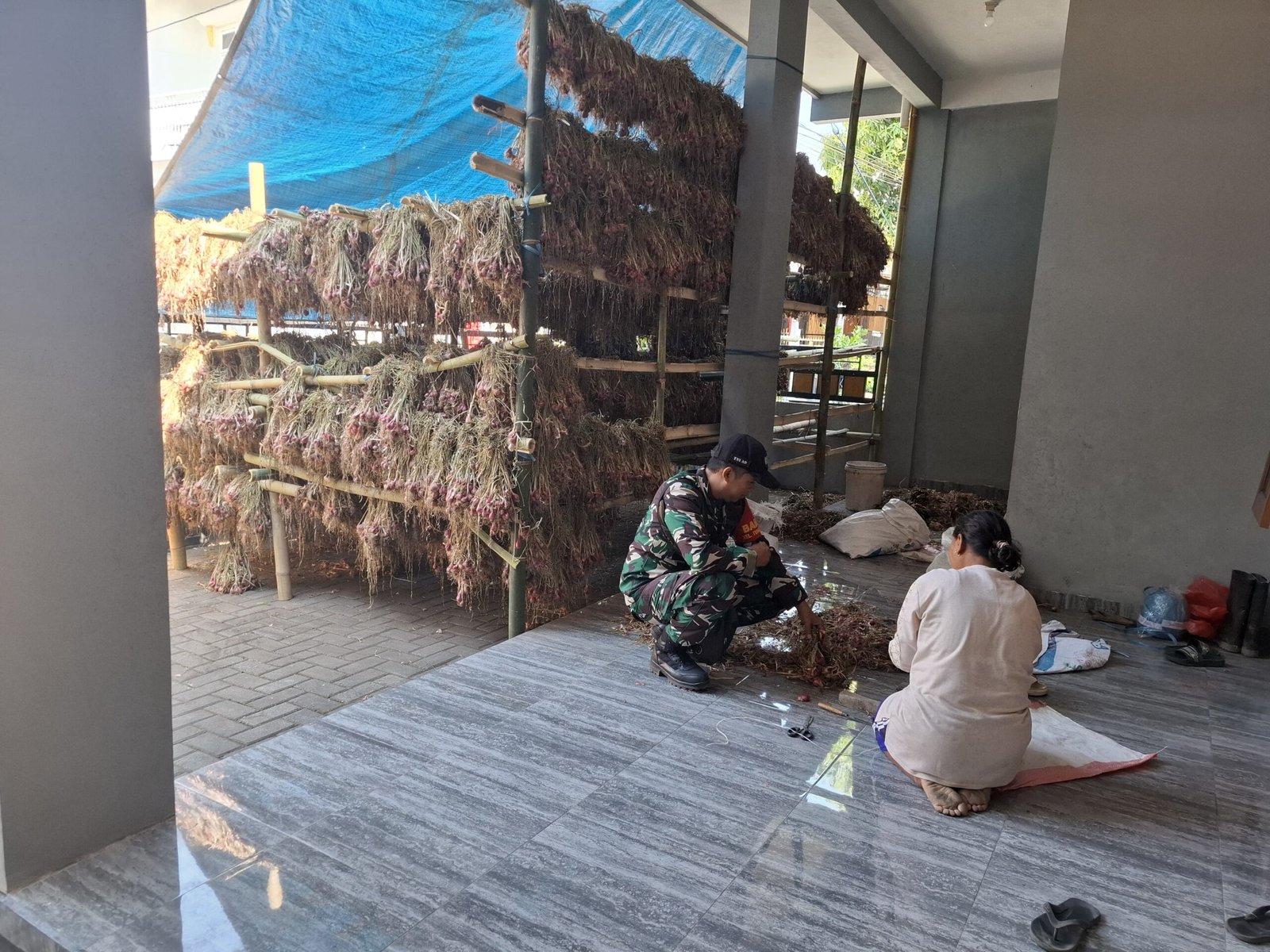 Babinsa Tunggulwulung Aktif Pantau Budidaya Bawang Milik Warga Dukung Ketahanan Pangan