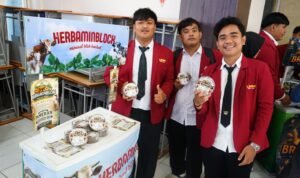 Cegah Kekurangan Mineral Ternak, Mahasiswa UMM Kembangkan Herbaminblock Berbasis Herbal