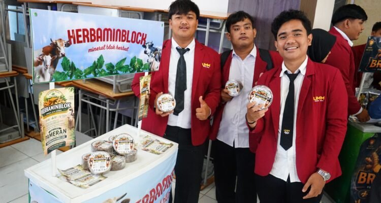 Cegah Kekurangan Mineral Ternak, Mahasiswa UMM Kembangkan Herbaminblock Berbasis Herbal