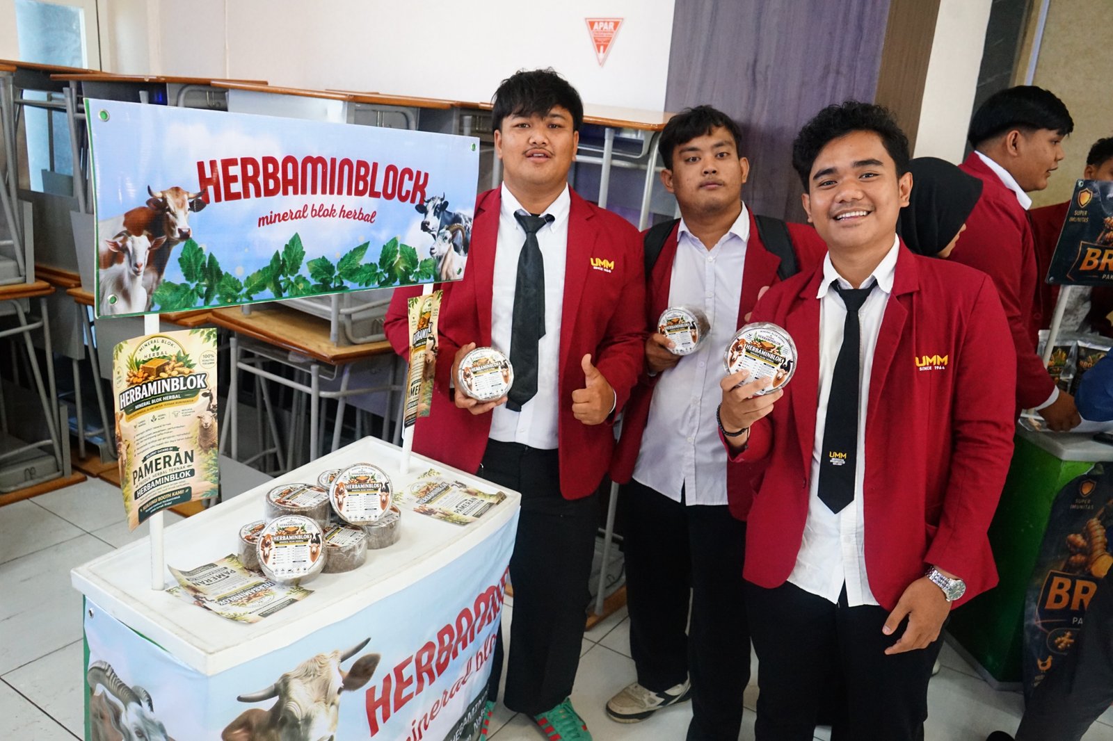 Cegah Kekurangan Mineral Ternak, Mahasiswa UMM Kembangkan Herbaminblock Berbasis Herbal