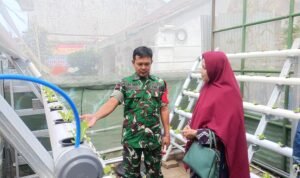 IMG-20260823-WA0177 Babinsa Kodim 0833 Edukasi Hidroponik, Dorong Ketahanan Pangan dari Pekarangan