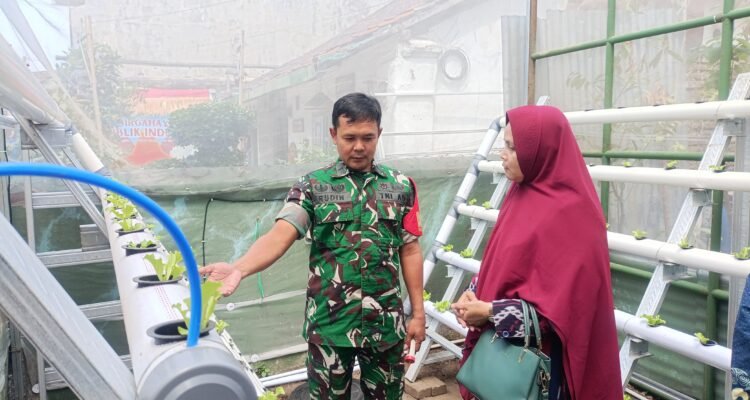 Babinsa Kodim 0833 Edukasi Hidroponik, Dorong Ketahanan Pangan dari Pekarangan