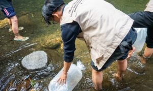 Mahasiswa FPIK UB dan Warga Pandanajeng Tebar 10.000 Benih Wader, Jaga Kelestarian Sungai