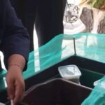 Polinema Kenalkan Budidaya BSF kepada Peternak Lele Tulusbesar, Ubah Sampah PPM, tim Politeknik Negeri Malang (Polinema) mengenalkan budidaya Black Soldier Fly (BSF) atau maggot kepada kelompok peternak lele di Desa Tulusbesar.( Ist )