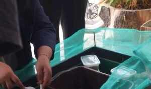 Polinema Kenalkan Budidaya BSF kepada Peternak Lele Tulusbesar, Ubah Sampah PPM, tim Politeknik Negeri Malang (Polinema) mengenalkan budidaya Black Soldier Fly (BSF) atau maggot kepada kelompok peternak lele di Desa Tulusbesar.( Ist )