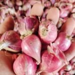 Panen Raya Melimpah, Kota Malang Catat Deflasi 0,20 Persen pada Juli 2026