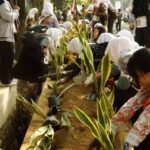 Lewat Sansevieria, Maba UM 2026 Semai Kepedulian Lingkungan