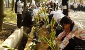 c1_20260813_21004721 Lewat Sansevieria, Maba UM 2026 Semai Kepedulian Lingkungan
