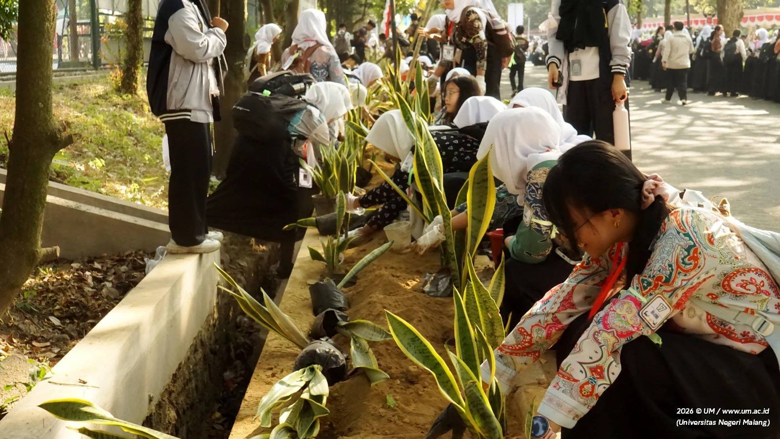 Lewat Sansevieria, Maba UM 2026 Semai Kepedulian Lingkungan