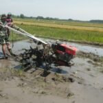 Babinsa Tlogowaru Dekat dengan Petani, Kawal Musim Tanam dan Ketahanan Pangan