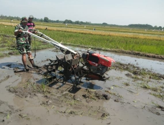 Babinsa Tlogowaru Dekat dengan Petani, Kawal Musim Tanam dan Ketahanan Pangan