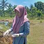 Dosen FBiPK UB Kembangkan Bakteri Lokal untuk Pulihkan Tanah Tercemar Timbal