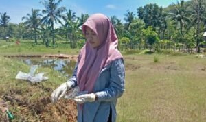 Dosen FBiPK UB Kembangkan Bakteri Lokal untuk Pulihkan Tanah Tercemar Timbal