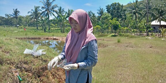 Dosen FBiPK UB Kembangkan Bakteri Lokal untuk Pulihkan Tanah Tercemar Timbal