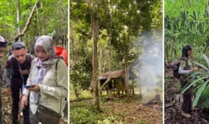 IMG-20260907-WA0125 Menembus Hutan Perlis, FBiPK UB Petakan Biodiversitas dan Potensi HHBK