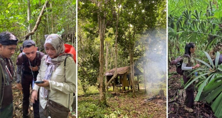 IMG-20260907-WA0125 Menembus Hutan Perlis, FBiPK UB Petakan Biodiversitas dan Potensi HHBK