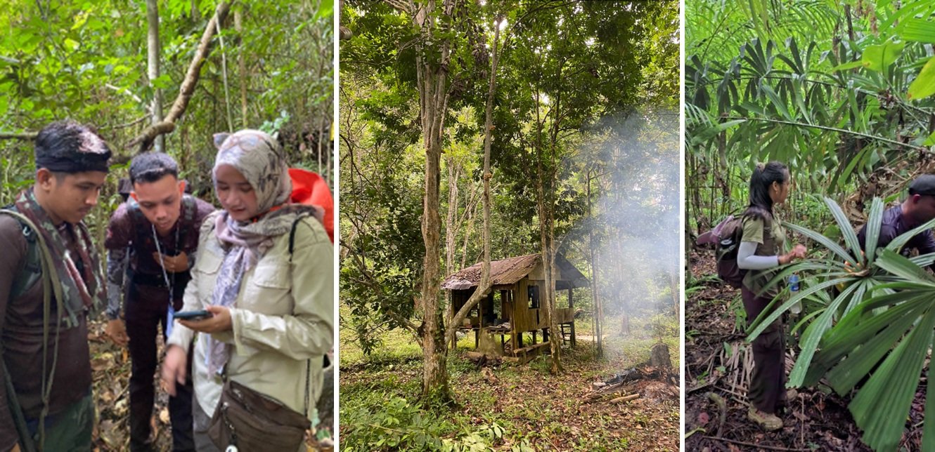 Menembus Hutan Perlis, FBiPK UB Petakan Biodiversitas dan Potensi HHBK