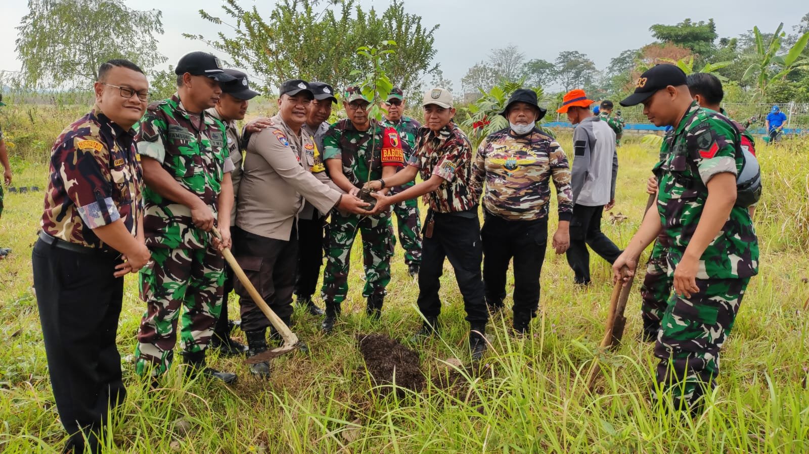 HUT TNI ke-81, Kodim 0833 Tanam 200 Bibit Pohon di Arjowinangun