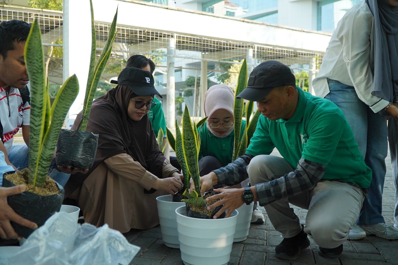Hari Ozon Sedunia, UM Tanam Pohon dan Perkuat Komitmen Green Campus