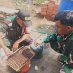 Koramil Sukun Siapkan Bibit Pohon Buah, Perkuat Upaya Penghijauan Lingkungan