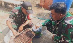Koramil Sukun Siapkan Bibit Pohon Buah, Perkuat Upaya Penghijauan Lingkungan