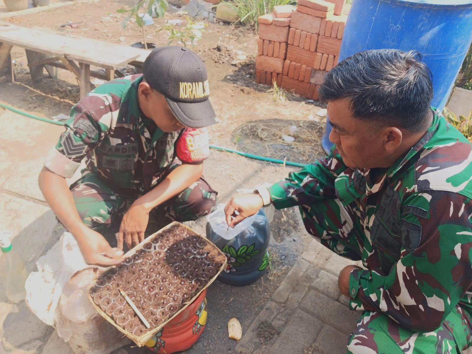 Koramil Sukun Siapkan Bibit Pohon Buah, Perkuat Upaya Penghijauan Lingkungan