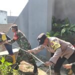 IMG-20261003-WA0043 Pohon Tumbang Masuk Drainase, Babinsa dan Warga Tulusrejo Bergerak Cepat