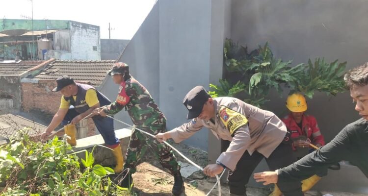 IMG-20261003-WA0043 Pohon Tumbang Masuk Drainase, Babinsa dan Warga Tulusrejo Bergerak Cepat