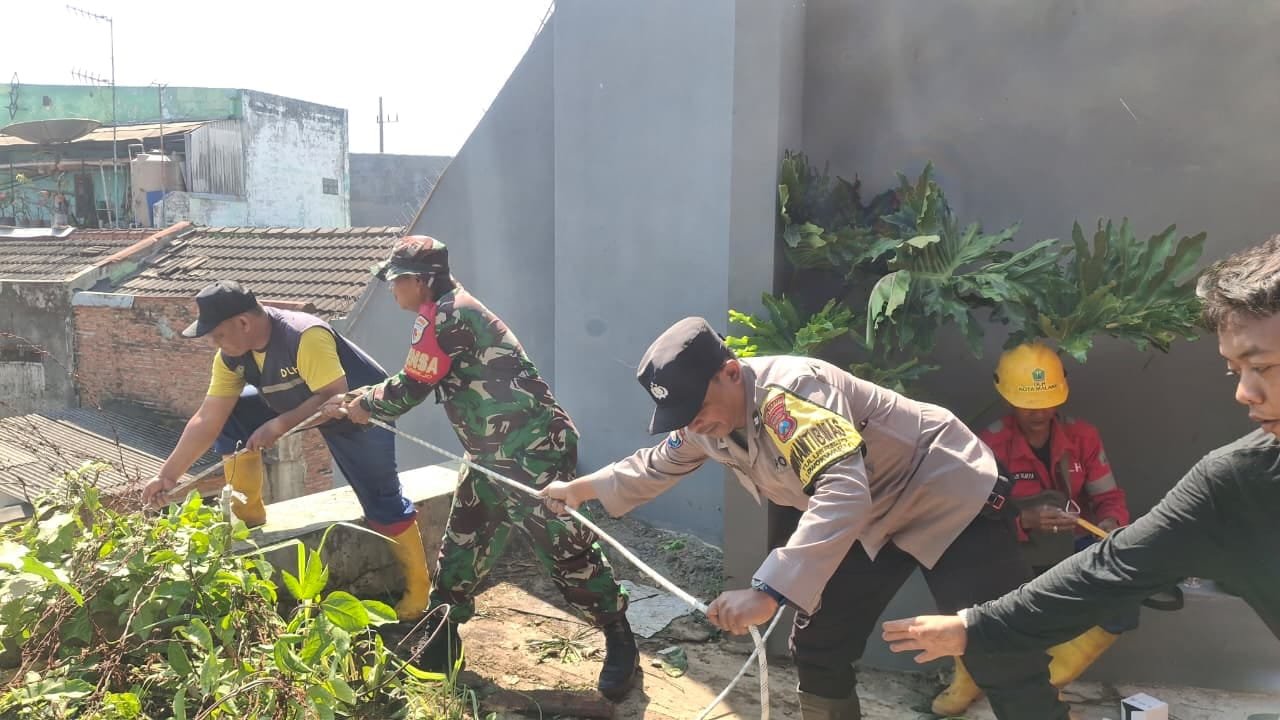 Pohon Tumbang Masuk Drainase, Babinsa dan Warga Tulusrejo Bergerak Cepat