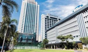 Pemerintah Mulai Terapkan SPP-TDLN, PPN Transaksi Digital Luar Negeri Dipungut Lewat Sistem Pembayaran