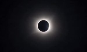 IMG-20261014-WA0004