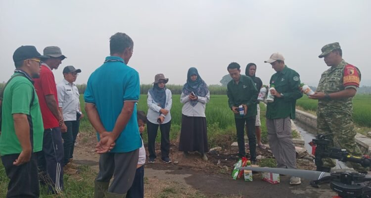 Babinsa Arjowinangun Dampingi Petani Manfaatkan Drone untuk Penyemprotan Padi